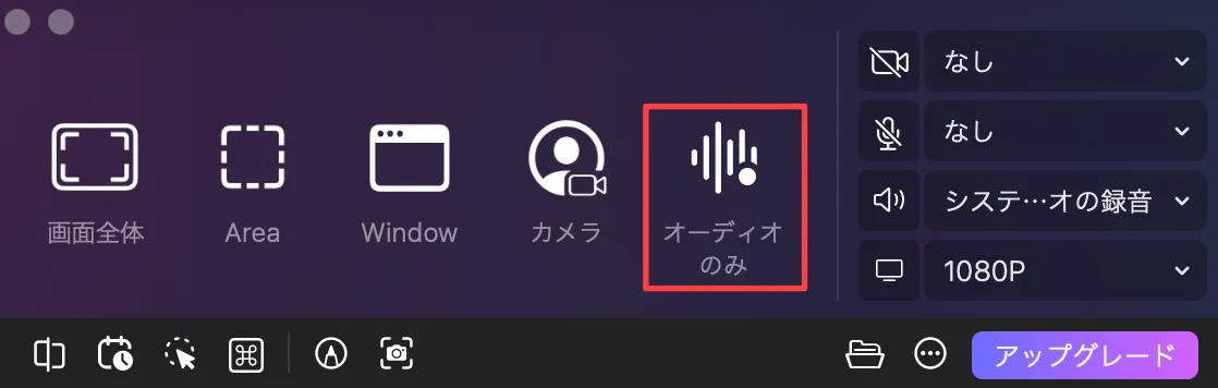 オーディオのみ