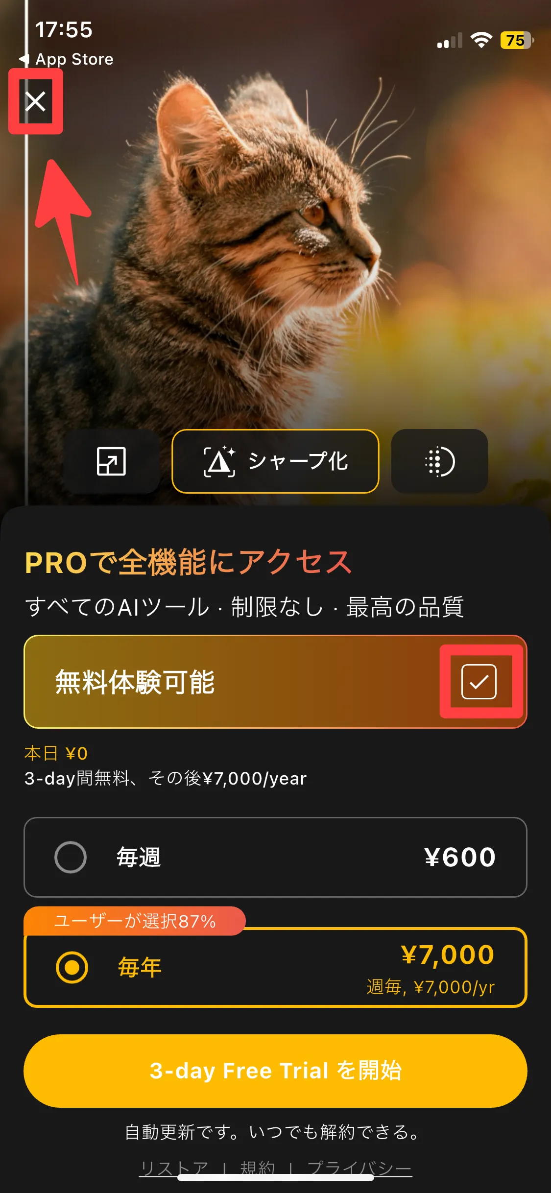 無料体験可能